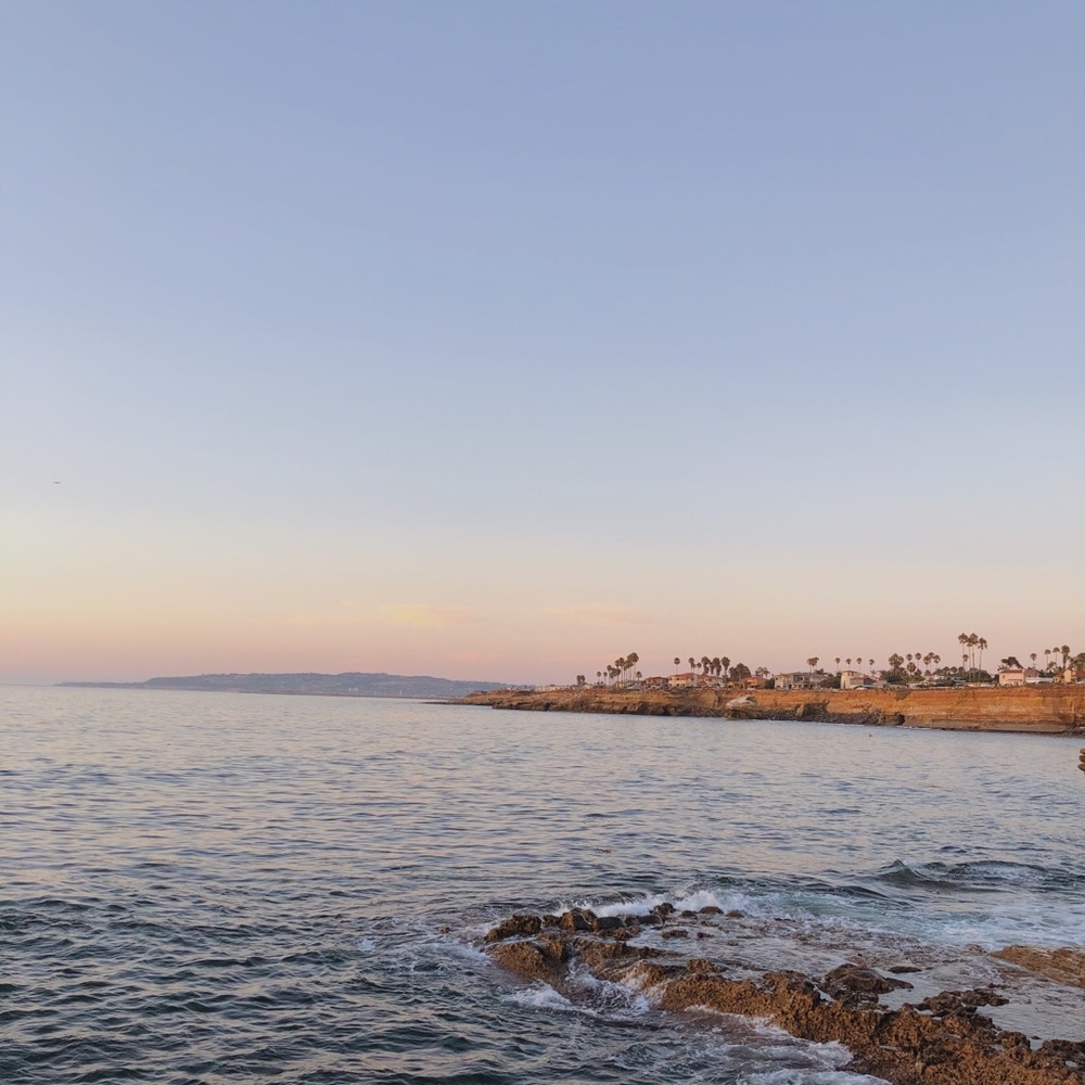 Meet your Posher, Jenny